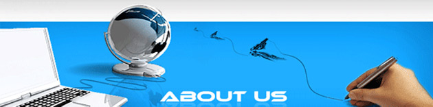 About Weboseo Private Limites -  A Leading Software Development and Website Designing Company in Dwarka , Delhi
