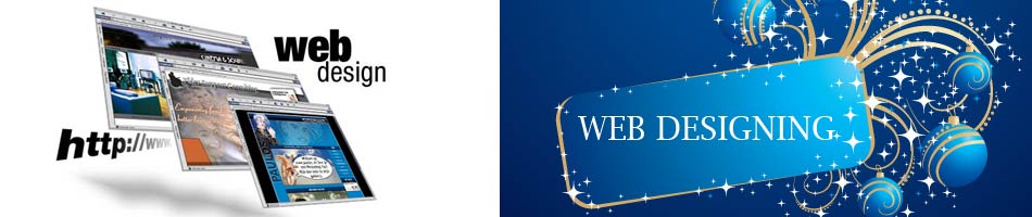 Website Designing in Delhi Training in Website Designing