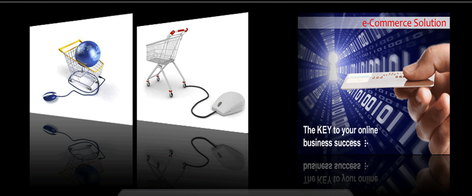 Web Designing Company in Delhi